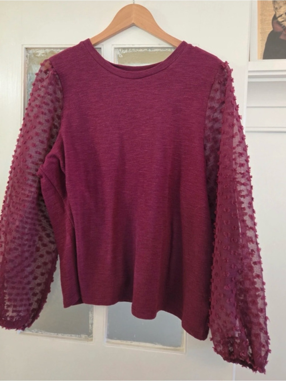Anthropologie Plum Textured-Sleeve Pullover